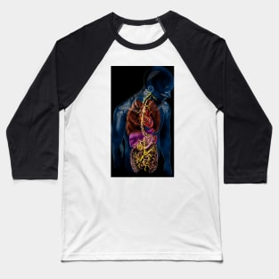 Vagus nerve anatomy, illustration (C037/4895) Baseball T-Shirt